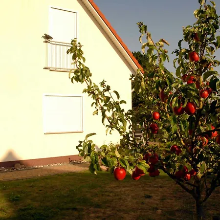 Ferienhaus A4 Sturmvogel Ostseebad Rerik Neu Gaarz